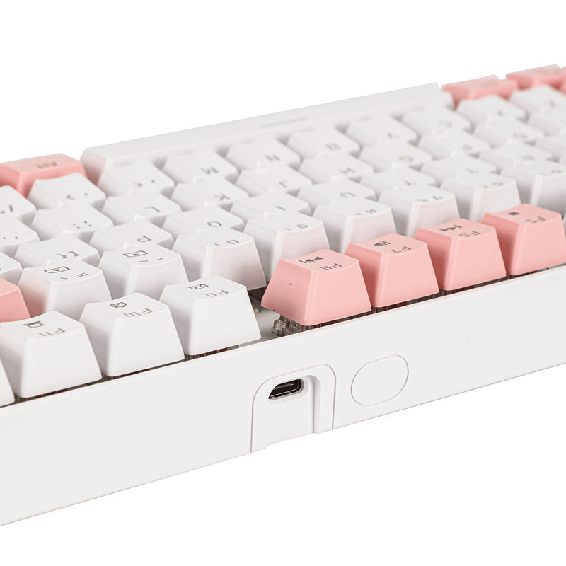 87-Key Wired Gaming Mechanical Keyboard